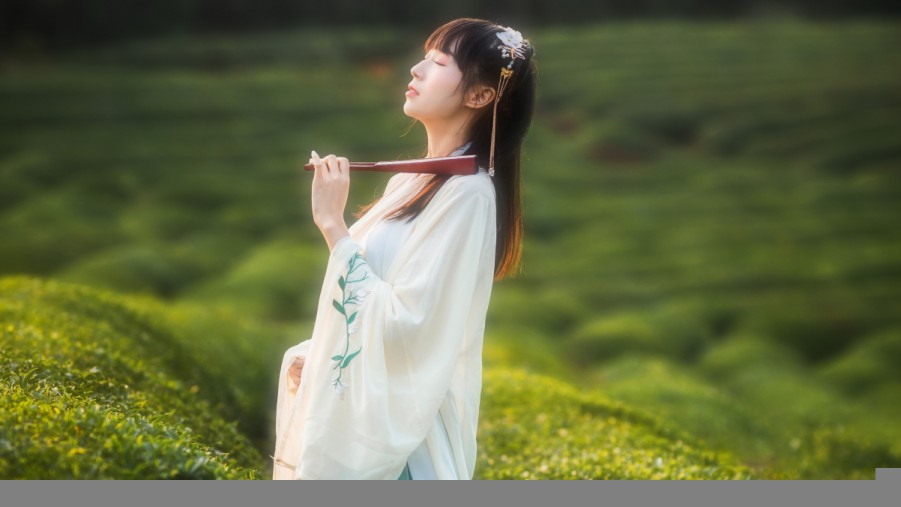 免费行情.www百度全行网站讲解